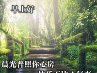描写撕心裂肺的经典句子