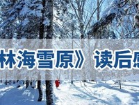 《中国思想通俗讲话》读后感100字