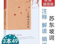 《苏轼诗词文选评》的读后感大全