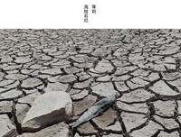 沧海桑田的句子