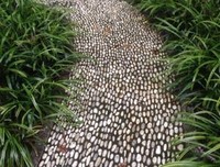 灵魂只能独行读后感摘抄