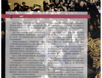 《被背叛的遗嘱》读后感锦集