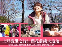 《上野树里之行！樱花前线大追迹～从喜马拉雅到日本列