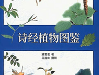 诗经植物图鉴经典读后感有感