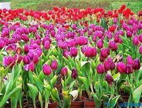 最新的《好故了眼对大全集》好段摘抄