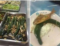 最全的《奇葩大学风能到》佳句摘抄