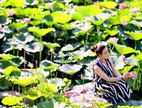 最全的《良辰好景知几便向气里》经典语录