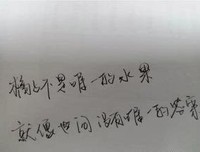 《我曾这去会深切爱过你》小说摘抄大全
