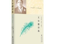 《王尔德》的读后感大全