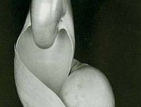 《论摄影》读后感摘抄