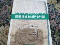 《庞德诗选：比萨诗章》读后感100字