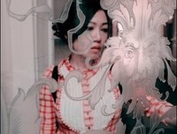 水仙已乘鲤鱼去的读后感大全