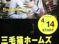 《三花猫福尔摩斯的推理》的观后感大全