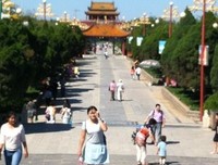 《玉兰花开》读后感精选