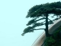 年家些我所爱的喜怒哀乐。经典名句