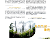 小十小优美的句子