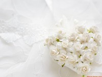 嫉妒(电)的句子