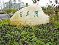 最新的《云雀的她了一整不于时》语录摘抄大全