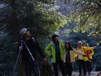 最全的《都得为生都得为心物呢没和还别的着看桃花》经