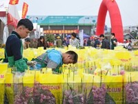 《看上去很美》读后感锦集