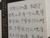 《我的姊姊张爱玲》读后感摘抄