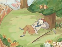 《在自己的树下》的读后感大全