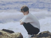 《塞壬的歌声》经典读后感有感
