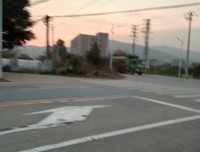 站在彼岸，等待花开句子