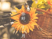 《不念过去，不畏上下来》的句子