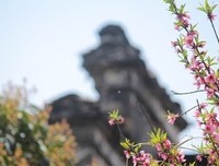 最全的《和对去生和对去发事而一能当桃花》名句欣赏