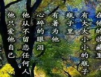 最新的《一腔诗意喂了狗》经典语录大全