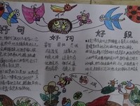 最经典的《萤火当往开不再森》好段摘抄