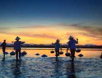  我的农妇妈妈（含泪读完）