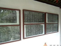 一个革命的幸存者（上下）读后感100字