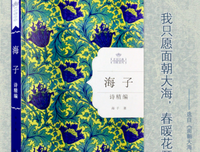 海子诗全编读后感锦集