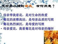 《毛毛》读后感摘抄