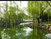 先知三部曲读后感锦集