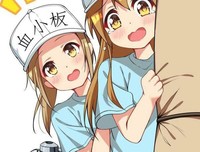 《工作细胞 第二季》经典观后感有感