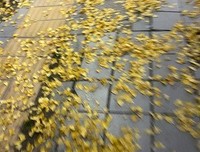 心情好一切都好