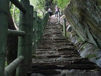 《时光易逝，韶华不后外》的句子