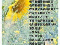 有关席慕容的句子