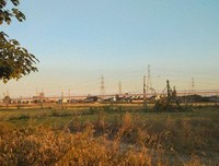 辛夷坞句子大全