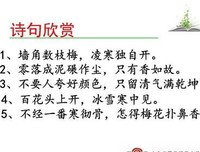 零落成泥碾作尘经典的句子
