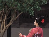 罗敷名言
