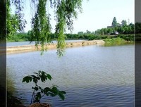 倾诉|离婚后，我妈最嫉妒的女人是她，可惜她成不了她，