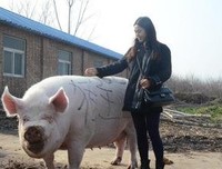 如果觉得生活太难，请一定要看看这12张图