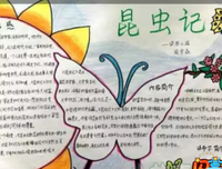 《自然故事（第一辑）》的读后感大全