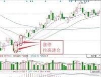《巴菲特给儿女的一生忠告》读后感锦集