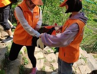 正午之魔读后感100字