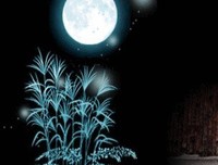 喜欢深夜